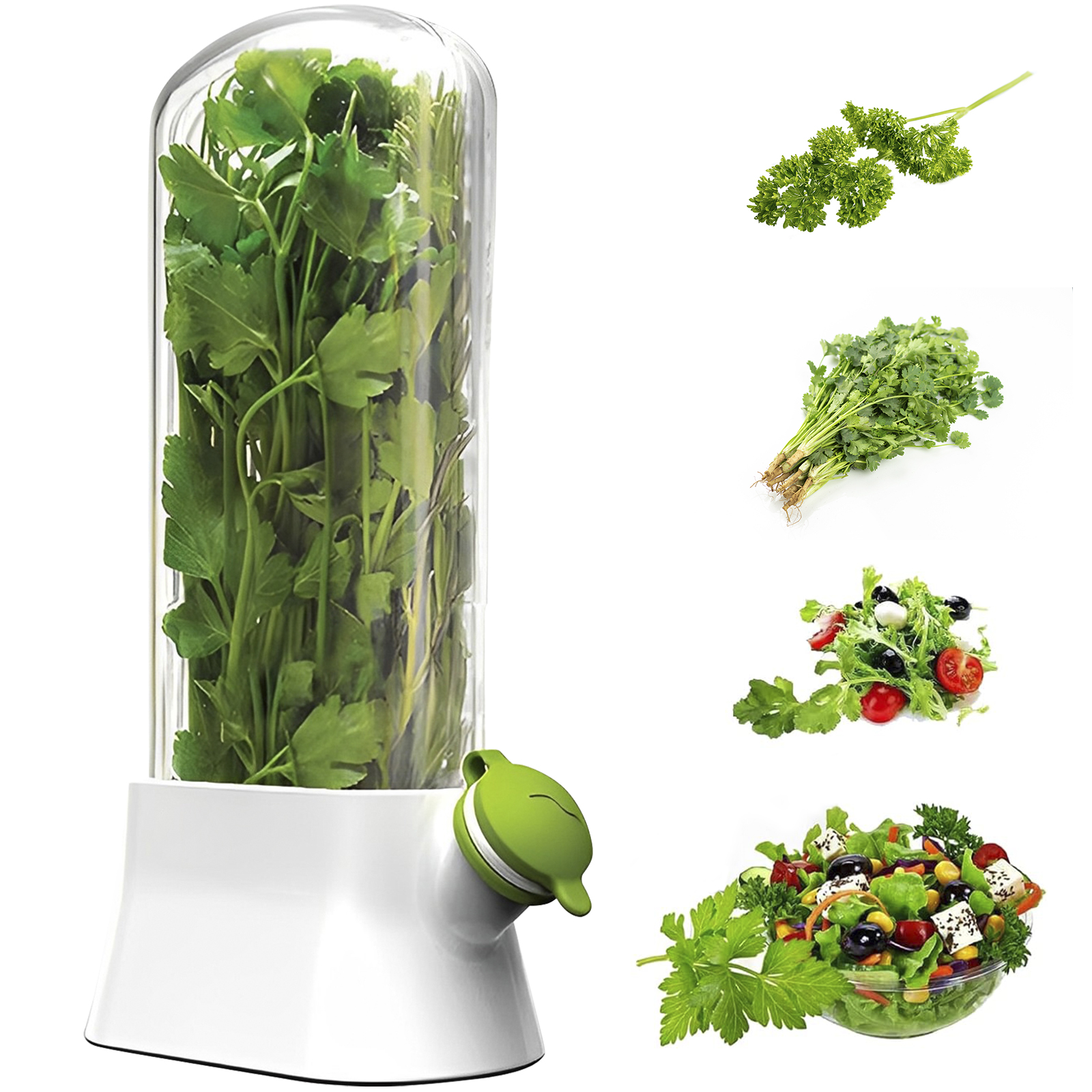 Herb Keeper Bottle - 4/1PC Herb Freshkeeping Box Fresh Vegetable