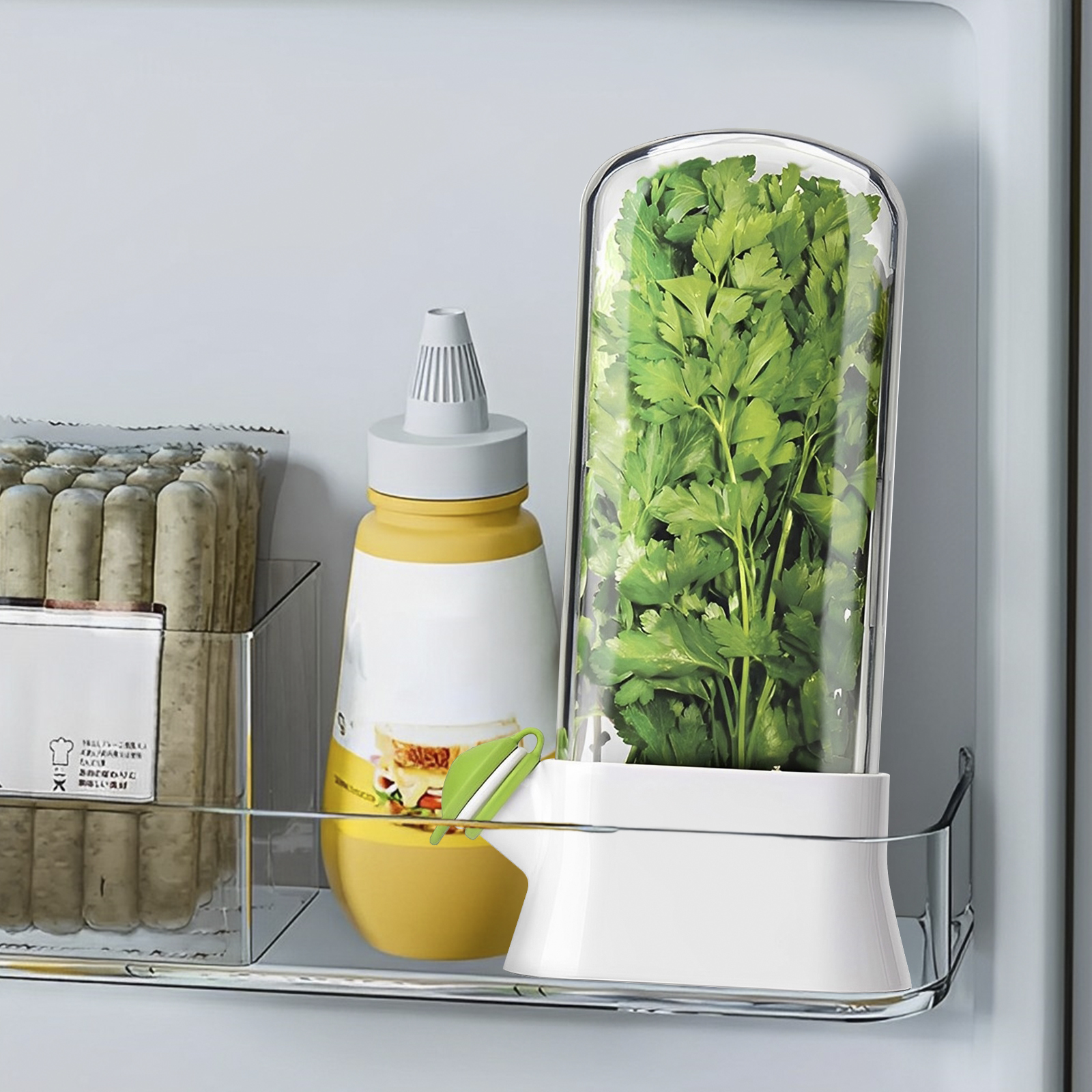 4/1PC Herb Freshkeeping Box Fr - Herb Keeper Bottle 리뷰 및 가격