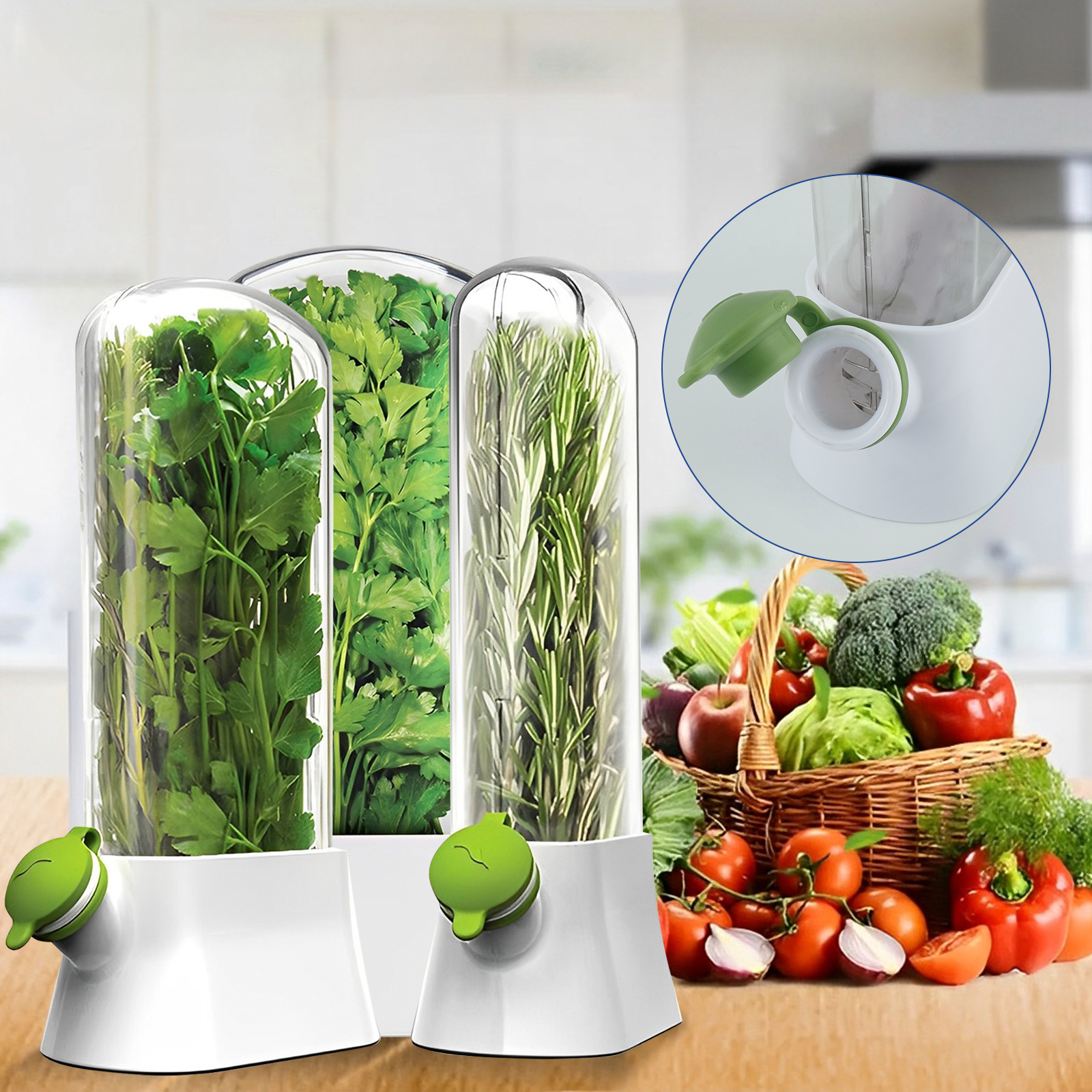 4/1PC Herb Freshkeeping Box Fr - Herb Keeper Bottle 리뷰 및 가격