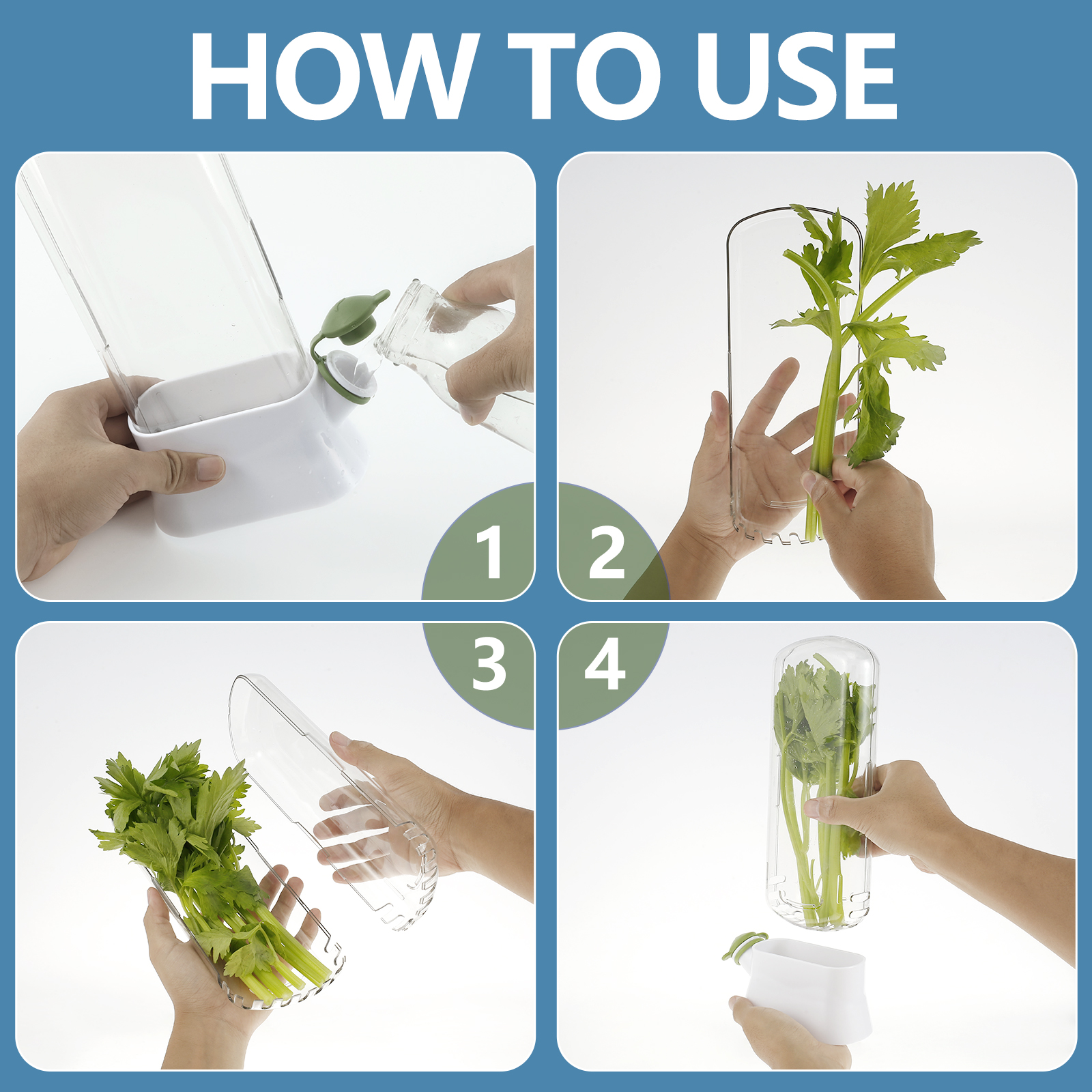 4/1PC Herb Freshkeeping Box Fr - Herb Keeper Bottle 리뷰 및 가격
