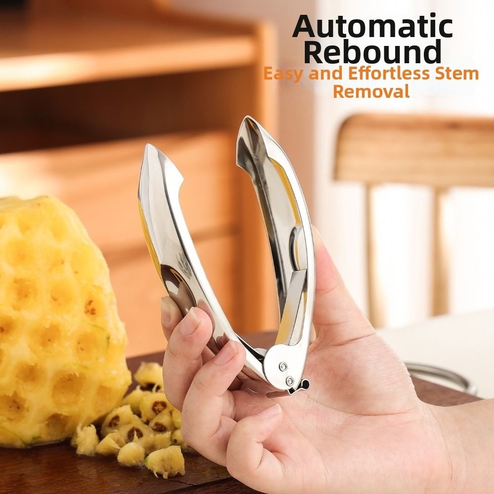 Stainless Steel Pineapple Twee - Pineapple Corer Slicer 리뷰 및 가격