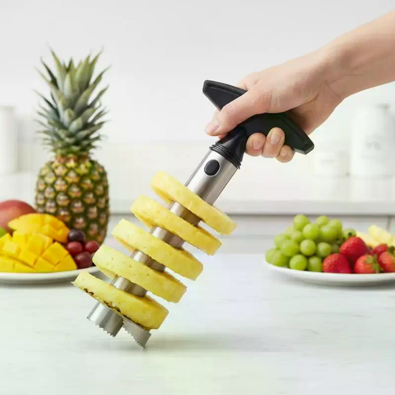 Stainless Steel Pineapple Core - Pineapple Corer Slicer 리뷰 및 가격