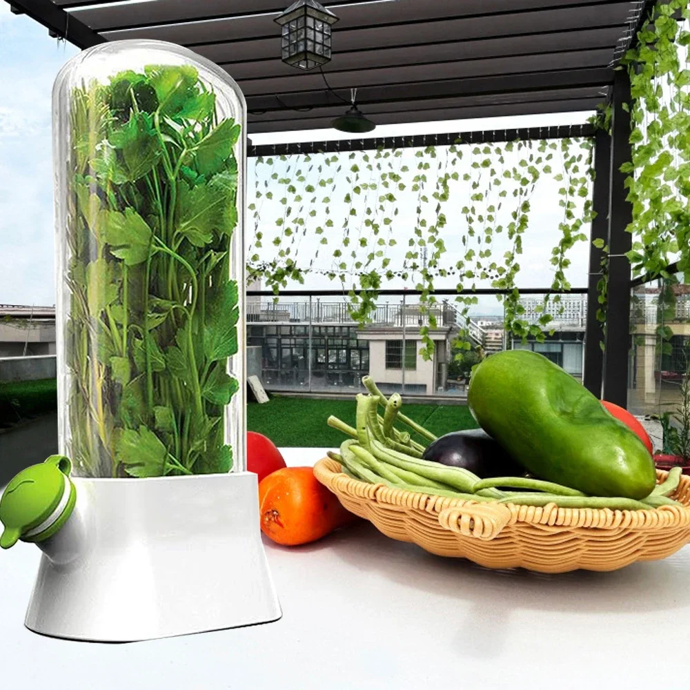 Herb Saver Storage Container V - Herb Keeper Bottle 리뷰 및 가격