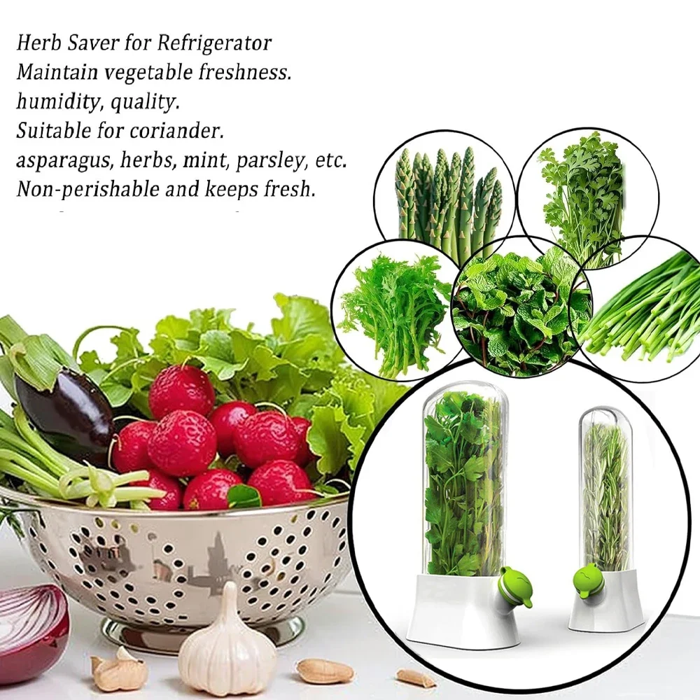 Herb Saver Storage Container V - Herb Keeper Bottle 리뷰 및 가격