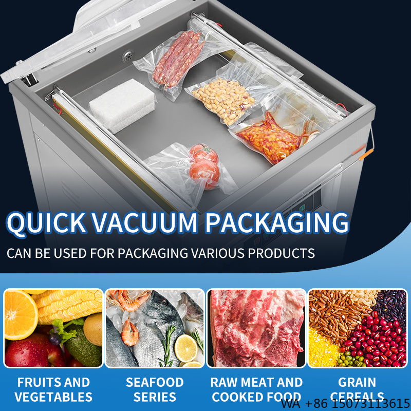 DZ-500  Vertical Single Chambe - Meal Prep Food 리뷰 및 가격