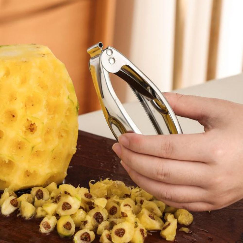 Stainless Steel Pineapple Twee - Pineapple Corer Slicer 리뷰 및 가격