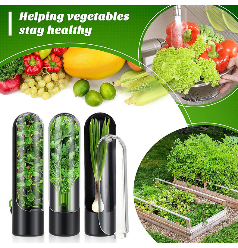 Vegetables Fresh Preservation  - Herb Keeper Bottle 리뷰 및 가격
