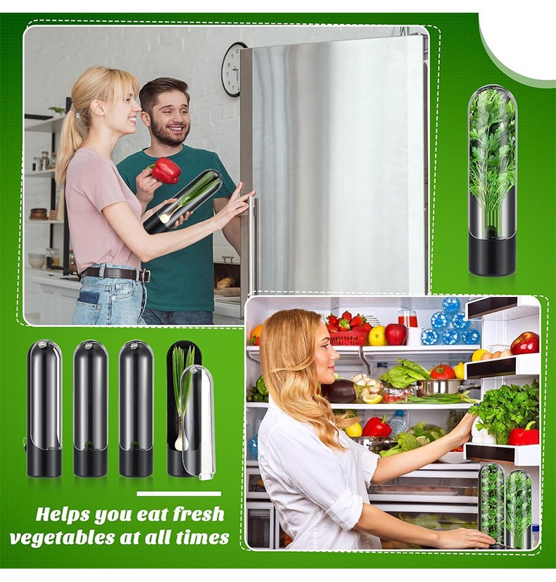 Vegetables Fresh Preservation  - Herb Keeper Bottle 리뷰 및 가격